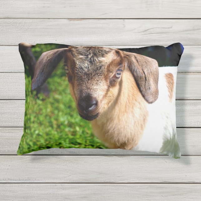愛らしいベビーのヤギ アウトドアクッション (裏面)