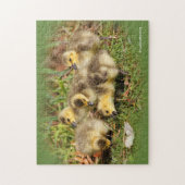 愛らしいベビーカナダゲスオンザグラス ジグソーパズル (縦)