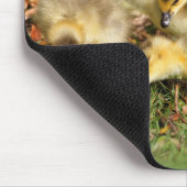 愛らしいベビーカナダゲスオンザグラス マウスパッド (コーナー)