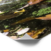 愛らしいベビータイガーカッブ ポスター (角)