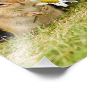 愛らしいベビーチップムンクとデイジー フォトプリント            (角)