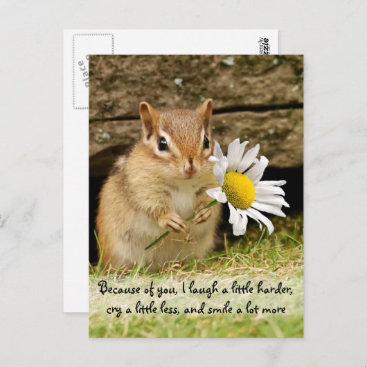 愛らしいベビーチップムンクウィズフレンドシップ引用文 ポストカード (正面/裏面)