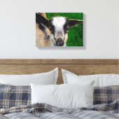 愛らしいベビーヤギ キャンバスプリント (インサイチュ (寝室))