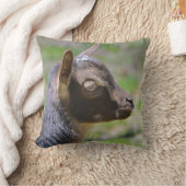 愛らしいベビーヤギ クッション (ブランケット)