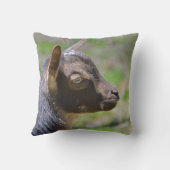 愛らしいベビーヤギ クッション (裏面)