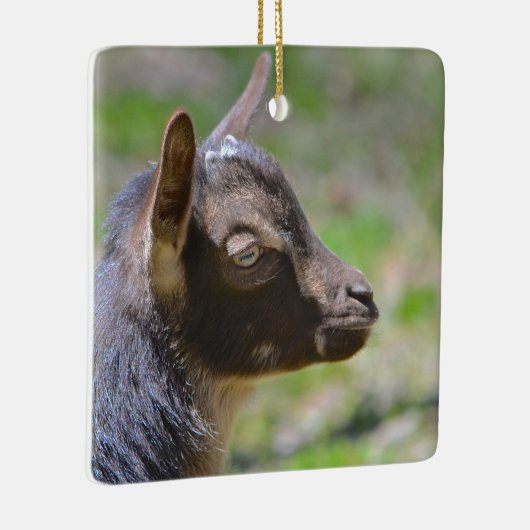 愛らしいベビーヤギ セラミックオーナメント (右)