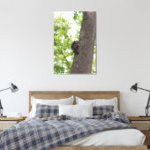 愛らしいベビーラクーン キャンバスプリント (インサイチュ (寝室))