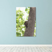 愛らしいベビーラクーン キャンバスプリント (インサイチュ (ウッドフロア))