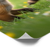 愛らしいベビー森林動物 ポスター (角)