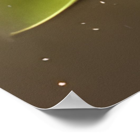 愛らしいベビー笑顔のコアラベア ポスター (角)