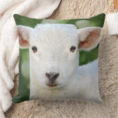 愛らしいベビー羊 クッション (ブランケット)