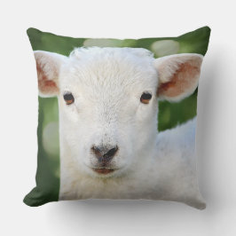 愛らしいベビー羊 クッション