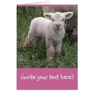 愛らしいベビー