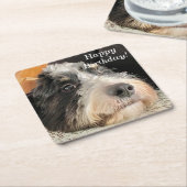 愛らしいベルネドードル スクエアペーパーコースター (アングル)