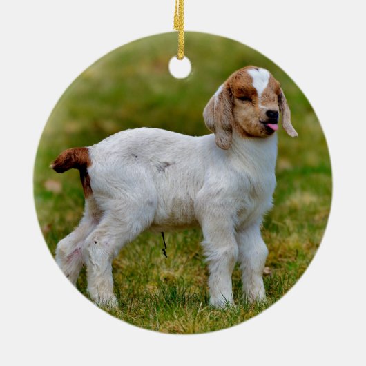 愛らしいベ生まれたばかりのアヤギ·キッド セラミックオーナメント (裏面)