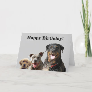 愛らしいペットが集団誕生日カード カード