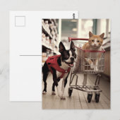 愛らしいボストンテリアとジンジャーキャットショッピング ポストカード (正面/裏面)