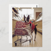 愛らしいボストンテリアショッピングfor肉 ポストカード (正面/裏面)