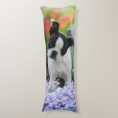 愛らしいボストンテリア犬のかわいい子犬 ボディピロー (正面縦)