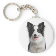 愛らしいボーダーコリーの仔犬のキーチェーン