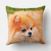 愛らしいポメラニア犬犬 クッション (裏面)