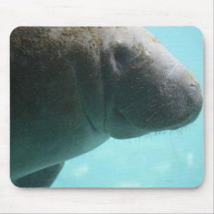 愛らしいマナティーの水泳 マウスパッド