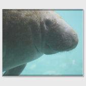 愛らしいマナティーの水泳 ラッピングペーパー (フラット)