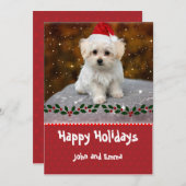 愛らしいマルチーズパピーテンプレートホリデーカード シーズンカード (正面/裏面)