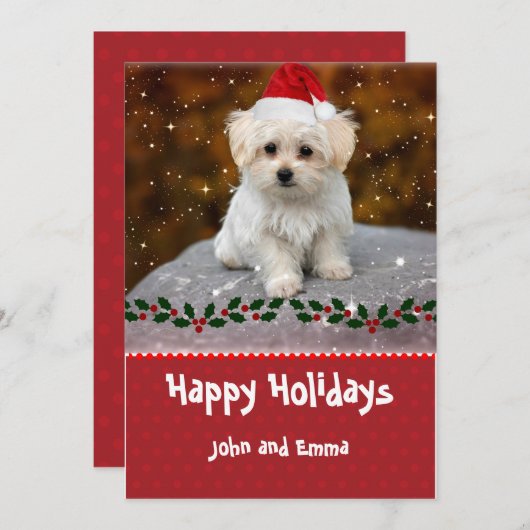 愛らしいマルチーズパピーテンプレートホリデーカード シーズンカード (正面/裏面)