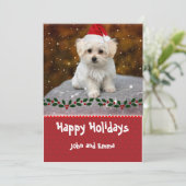 愛らしいマルチーズパピーテンプレートホリデーカード シーズンカード (スタンド正面)