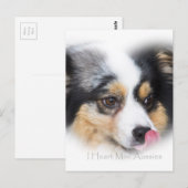 愛らしいミニオーストラリアのギフト品揃え ポストカード (正面/裏面)