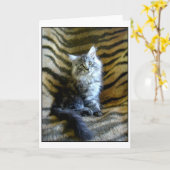 愛らしいメインのあらいぐまの子ネコの挨拶状 カード (黄色い花)