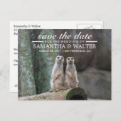 愛らしいメルカット日付を保存 案内ポストカード (正面/裏面)