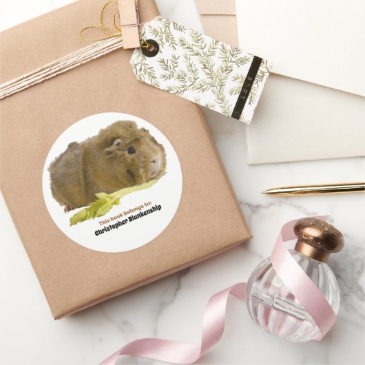 愛らしいモルモットがセロリを食べる写真 ラウンドシール (ギフト)