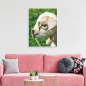 愛らしいヤギのキッドキャンバスプリント キャンバスプリント (インサイチュ (リビング))