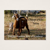 愛らしいヤギ達が無作為に親切カードを買う (裏面)