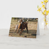 愛らしいヤギ カード (黄色い花)