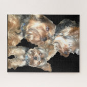 愛らしいヨーキー ジグソーパズル (横)