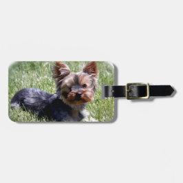 愛らしいヨークシャーテリア複数製厳選された品 ラゲッジタグ