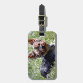 愛らしいヨークシャーテリア複数製厳選された品 ラゲッジタグ (正面縦)