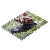 愛らしいヨークシャーテリア複数製品厳選された ノートブック (左側)