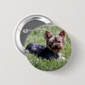 愛らしいヨークシャーテリア複数製品厳選された 缶バッジ (正面&裏面)