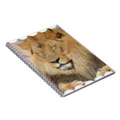 愛らしいライオン ノートブック (右側)