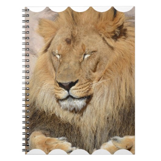 愛らしいライオン ノートブック (正面)
