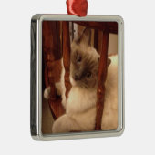 愛らしいラグドール猫が椅子に座って歩く メタルオーナメント (右)