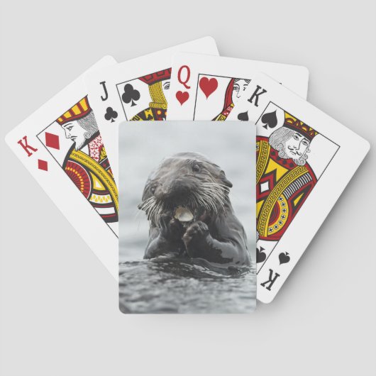 愛らしいラッコ トランプ (裏面)