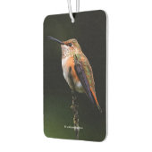 愛らしいラフハミングバードオンブランチ カーエアーフレッシュナー (左)