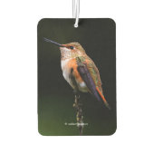 愛らしいラフハミングバードオンブランチ カーエアーフレッシュナー (裏面)