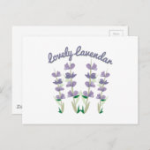 愛らしいラベンダー ポストカード (正面/裏面)