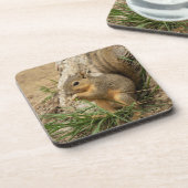 愛らしいリスのコースターセット コースター (左側)